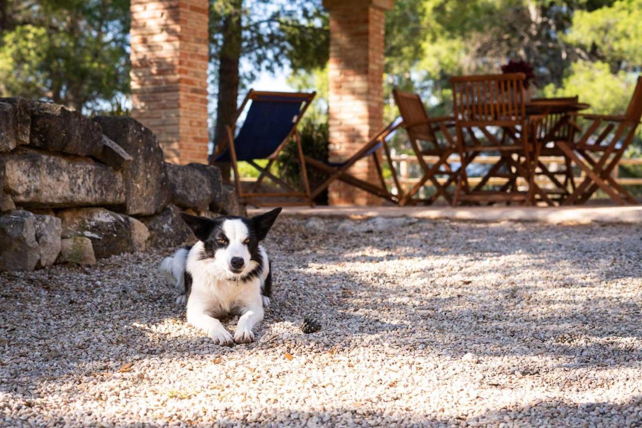 Mas De L'Acordio Villa Valderrobres Kültér fotó